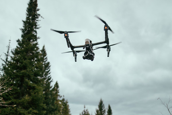 Drone en forêt